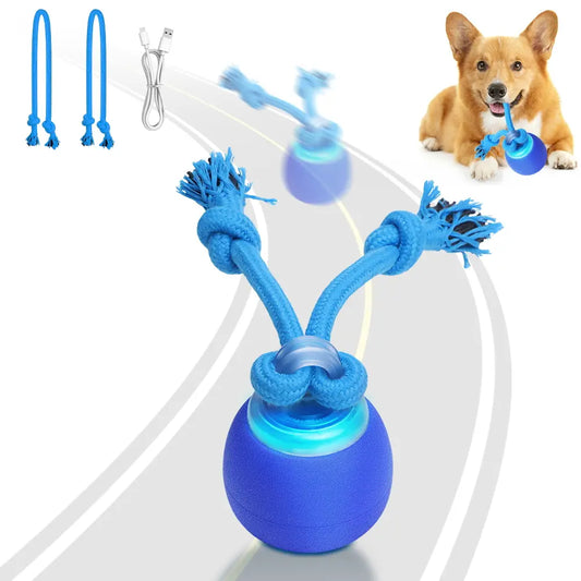 PAWZEN
