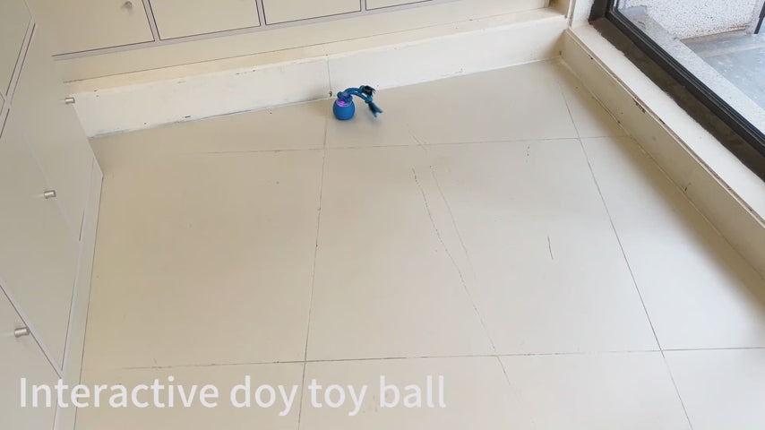 Saolife P51 Pelota Interactiva para Perros con Sonido y Cuerda